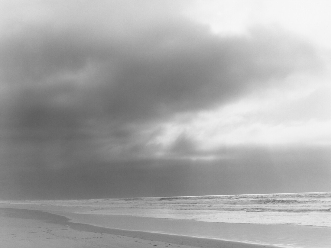Robert Adams, Nehalem Spit, Oregon, 2013. © Robert Adams, courtesy Fraenkel Gallery, San Francisco
