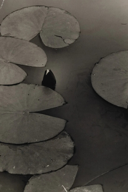 Benita Koch-Otte, Water lily, ca. 1930. Courtesy of Zeit Contemporary Art
