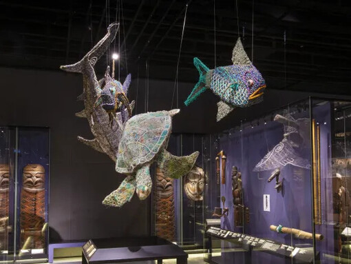 Les archives de la diversité humaine, vue de l’exposition. Avec l’aimable autorisation du Musée d’ethnographie de Genève