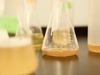 Hay que fortalecer redes internacionales y nacionales de científicos y las academias nacionales de ciencia