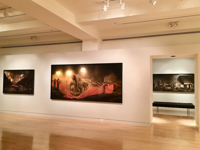 Nick Brandt: This Empty World. Courtesy of Edwynn Houk Gallery