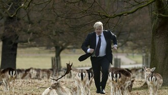 Ejecutivo londinense paseando entre la fauna de Richmond Park