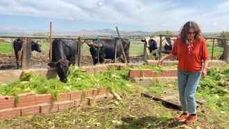 Leila Derouiche Rafrafi, fundadora de Henchir D' Heb, casa de huéspedes ecoturística en Túnez