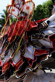 Em janeiro, a avó precisava da ajuda de muitas mãos para preparar uma merenda caprichada. A casa recebia os foliões de reis. Era um grupo da Fraternidade de São Benedito, muita gente para celebrar os Reis Magos que seguiram a estrela e foram presentear o menino Jesus. Uma dupla reverência, aos Reis do Oriente e ao nascimento do filho de Deus. A cantoria reiseira ouvia-se de longe. Os meninos, rapazes e homens faziam um cortejo pelas ruas de terra com as indumentárias próprias, seus ritos e instrumentos. Já sabiam o trajeto e quais casas seriam visitadas. O mestre levava uma bandeira e organizava a comitiva; os cantos, o coro, as brincadeiras e danças eram todas orquestradas de acordo com a tradição