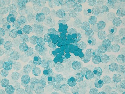 Marco Adamo, Omaggio al lazio calcio, 2024. Per gentile concessione della Contini Art Gallery