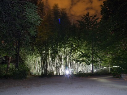Berdaguer & Pejus, Jardin épileptique — 2014
Installation éphémère. Stroboscopes et table de mixage (lumières). Vue de l’installation au jardin des plantes, Montpellier. Crédit photo : Olivier Cablat
