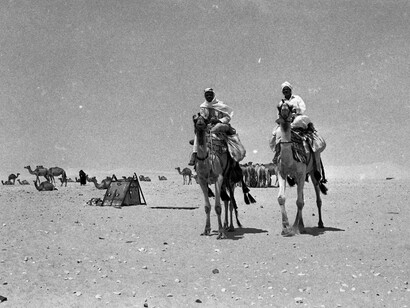 Colección de Dan Hadani: beduinos en Sinaí, 1969. Egipto