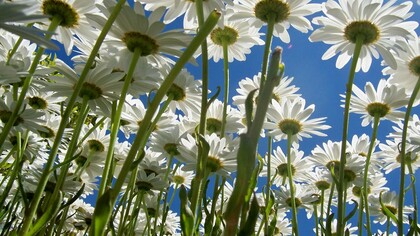 Vivere con i ritmi della natura