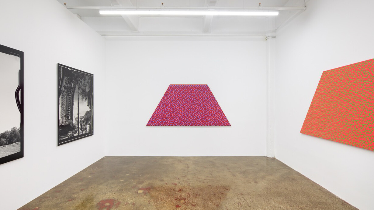 Daniel Temkin, exhibition view. Courtesy of Higher Pictures