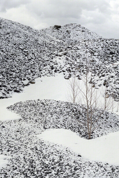 After the Fall. Courtesy of Carrie Able Gallery