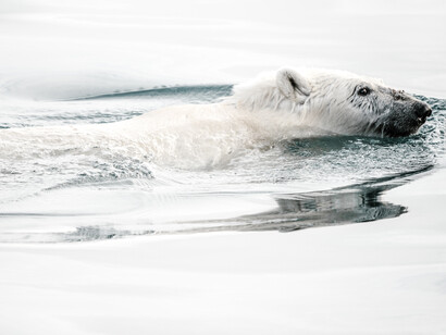 I dati raccolti dal satellite Cryosat-2 sono stati utilizzati per lo studio sulla variabilità dello scioglimento dei ghiacci della Groenlandia tra il 2011 e il 2020