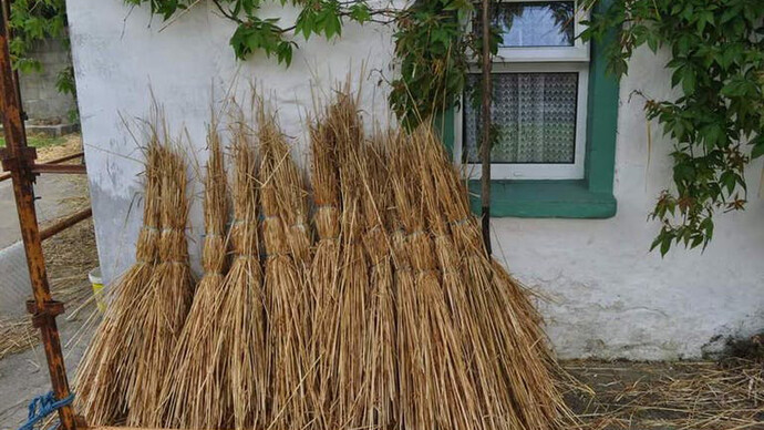 Els Dietvorst. Courtesy of M HKA