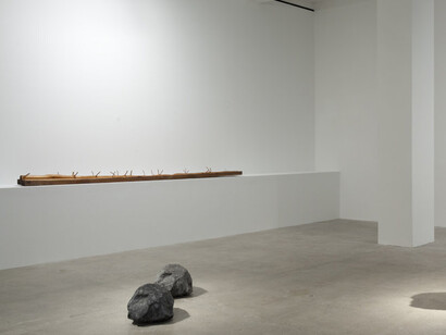 Giuseppe Penone. Courtesy of Marian Goodman Gallery