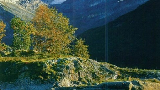 Kerr McIlwraith, Scandinavian Collage 2, 2013
Collage and 24ct gold leaf on paper, 59 x 84cm