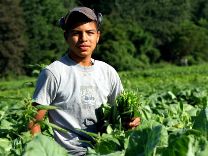 Migrants, new resources and new slaves