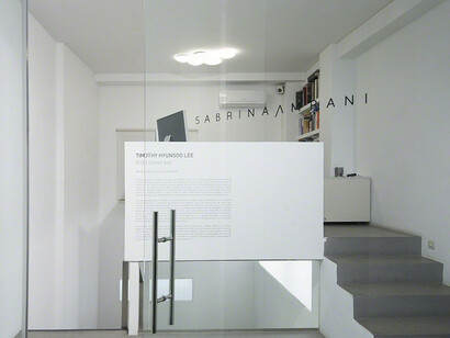 XOXO Comet Boy. Courtesy of Galería Sabrina Amrani