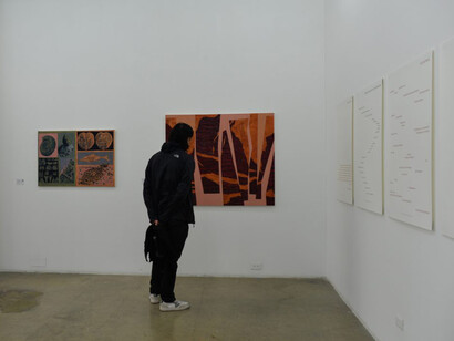 María José Chica, Substrate, exhibition view. Courtesy of El Dorado Space