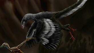 Illustrazione di Archaeopteryx a caccia di Compsognathus longipes nel Tardo Giurassico della Germania