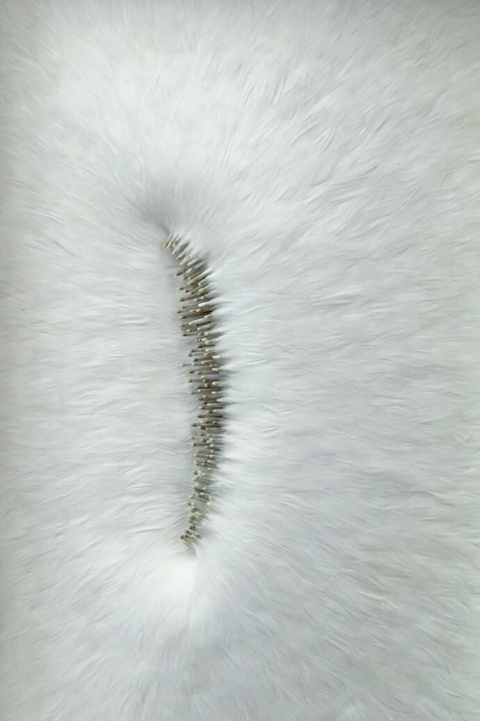 Kate MccGwire, Sissure Breach. Photo JP Bland