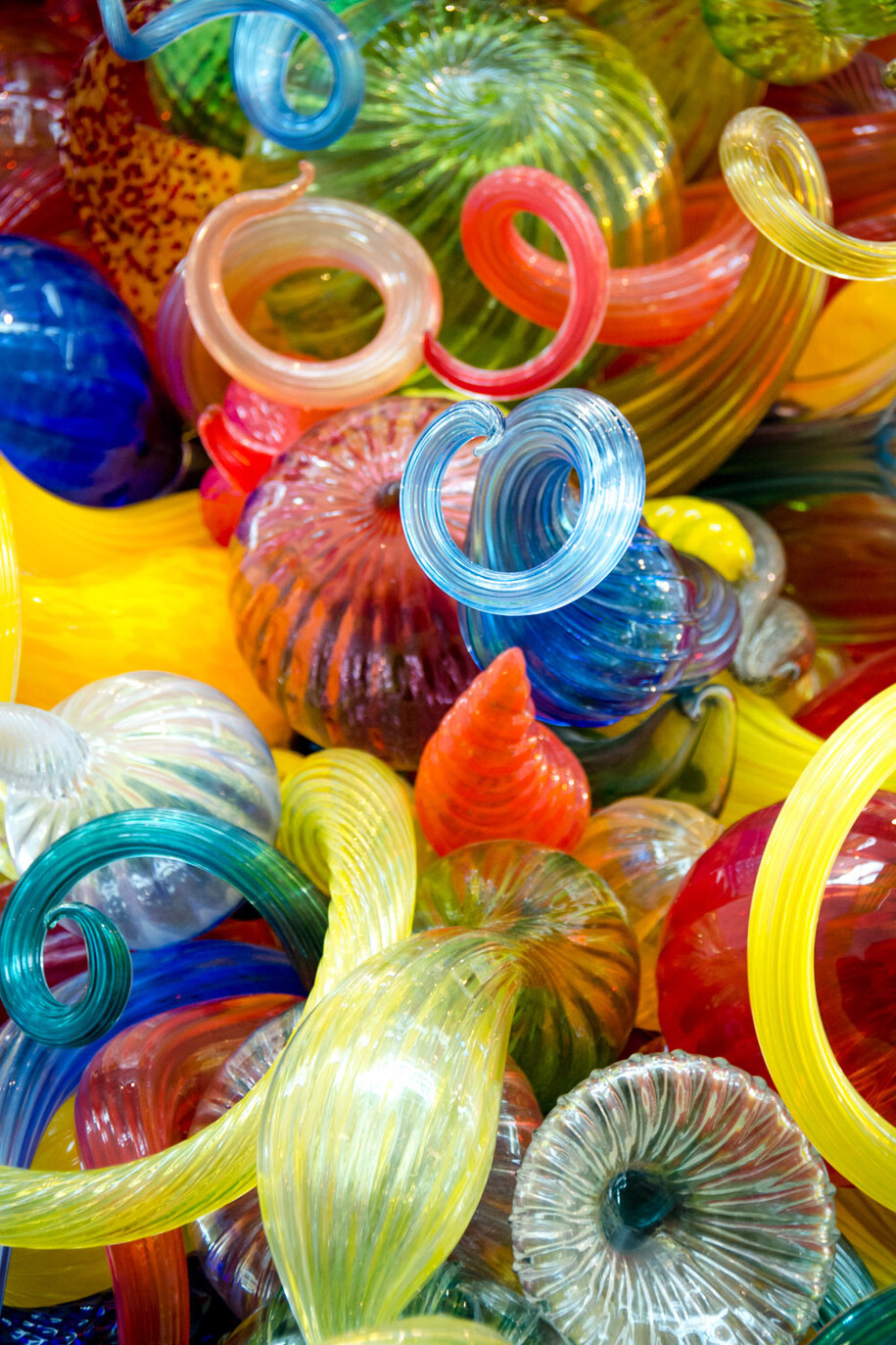 MOCA's Dale Chihuly, Mille Colori, 2003.