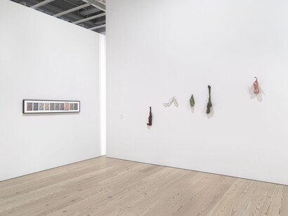 Installation view of Rachel Harrison Life Hack (Whitney Museum of American Art, New York, October 25, 2019–January 12, 2020). From left to right: 5 × 7’s (A & R Quality Photo, Aurora, Duggal, Emulsion, Foto Print, Image Studio, Pro Photo, R&B Color Labs, US Color, Victoria Photo), 1996; Untitled, c. 1991; Untitled, c. 1992; Green Sock, c. 1991; Untitled, c. 1992; Untitled, 1993. Photograph by Ron Amstutz
