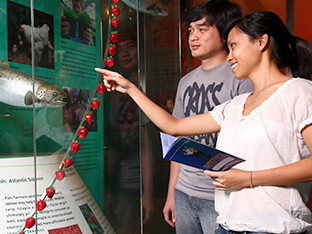 Bioethics. Courtesy of Science Centre Singapore