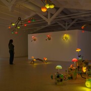 Mika Rottenberg, Vibrant matter, exhibition view. Courtesy of Hauser & Wirth Gallery