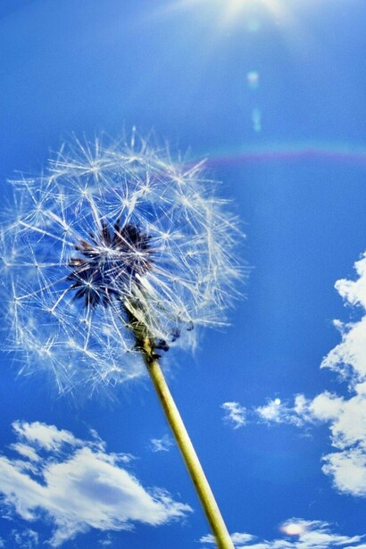 Il cielo e le nuvole
