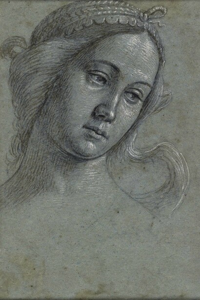Vittore Carpaccio (c. 1460-66‒c. 1525-6), Studies of female heads (double-sided sheet), Black chalk, pen, wash and white highlighting on blue paper, 23.8 x 18.4 cm © Ashmolean Museum, University of Oxford