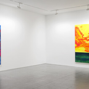 Courtesy of the artist & VNH Gallery Photo: Claire Dorn