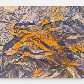 Olivia Hill, Poppies From Space 33°47'03.9"N 117°25'17.5"W, 2024, oil on canvas, 60 x 72 in (152.4 x 182.9 cm). Courtesy of the artist and Bel Ami Gallery