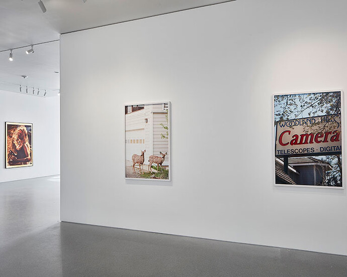 "Roe Ethridge: Innocence II", Installation view, Artworks © Roe Ethridge. Photo by Johnna Arnold