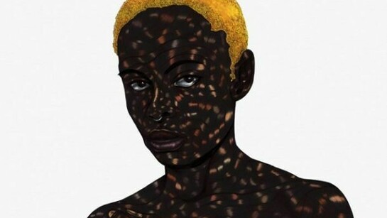 Toyin Odutola, A Fertile Country, Mismanaged, 2013, pen ink and marker on paper, 2 panels: 14 x 17 inches each, 37 1/2 x 26 3/4 x 1 1/2 inches framed
