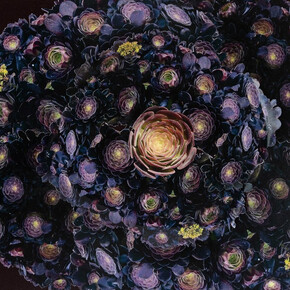 Alysia Macaulay, Grecian Succulents (detail). Courtesy of the artist and Klompching Gallery