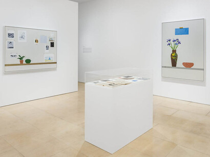 Ed Baynard. Courtesy of Stephen Friedman Gallery