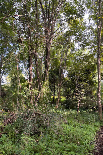 Amager Fælled : Parque natural
Hemisferio Norte, Copenhague, Dinamarca