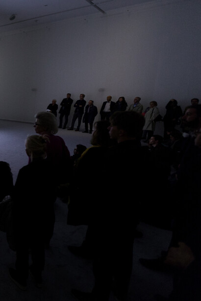 Rachel Rose. Courtesy of Fondazione Sandretto Re Rebaudengo