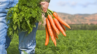 ¿Sabemos de dónde salen los alimentos que estamos consumiendo?