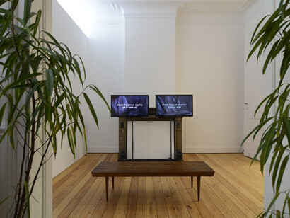 Laure Prouvost, We Know We Are Just Pixels, 2014, 2 screen video 4 min, edition of 3 + 2 AP