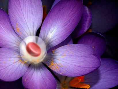 Aqua Aura. Courtesy of Luisa Catucci Gallery 