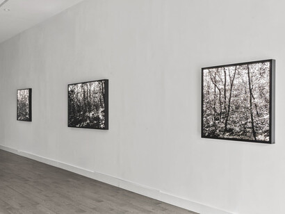 Choi Soowhan, Promenades in light, exhibition view. Courtesy of Friedrichs Pontone Gallery