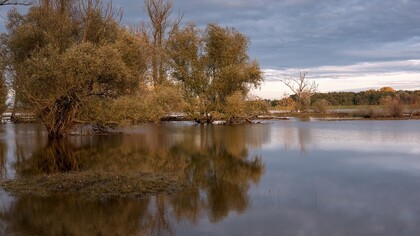 Alluvione. Afrin, una giovane sfollata dal fiume Brahmaputra, simbolo della crisi climatica e dei rifugiati climatici in Asia