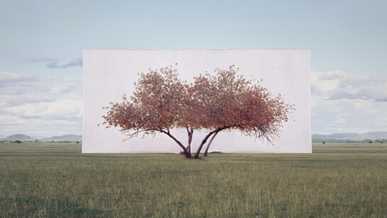 Visions of Nature. Courtesy of Kunst Haus Wien