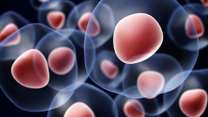 The life of cells