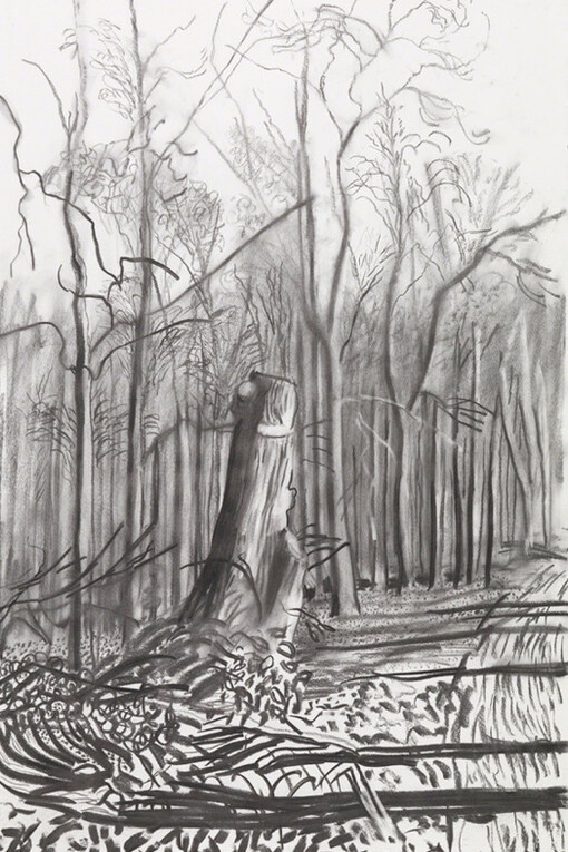 David Hockney. Courtesy of Paul Kasmin Gallery