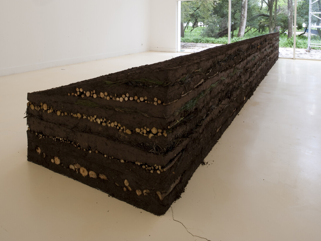 Gabriela Albergaria, Couche Sourde, 2014, soil, tree leaves and branches, Variable dimensions. Photo courtesy of the artist