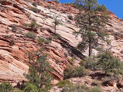 Utah’s majestic Martian landscape