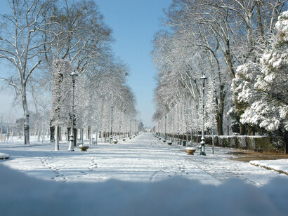 Parc de Blossac. Sous la neige