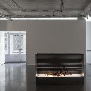 Isabel Cordovil, The enigma of arrival, exhibition view. Courtesy of Pedro Cera