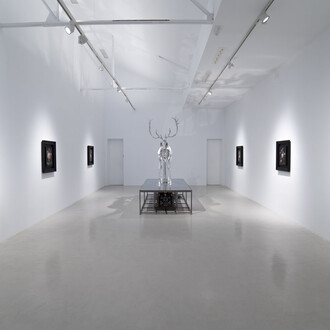 Mat Collishaw, Vivisystem, vista de exhibición. Cortesía de la Galería Hilario Galguera